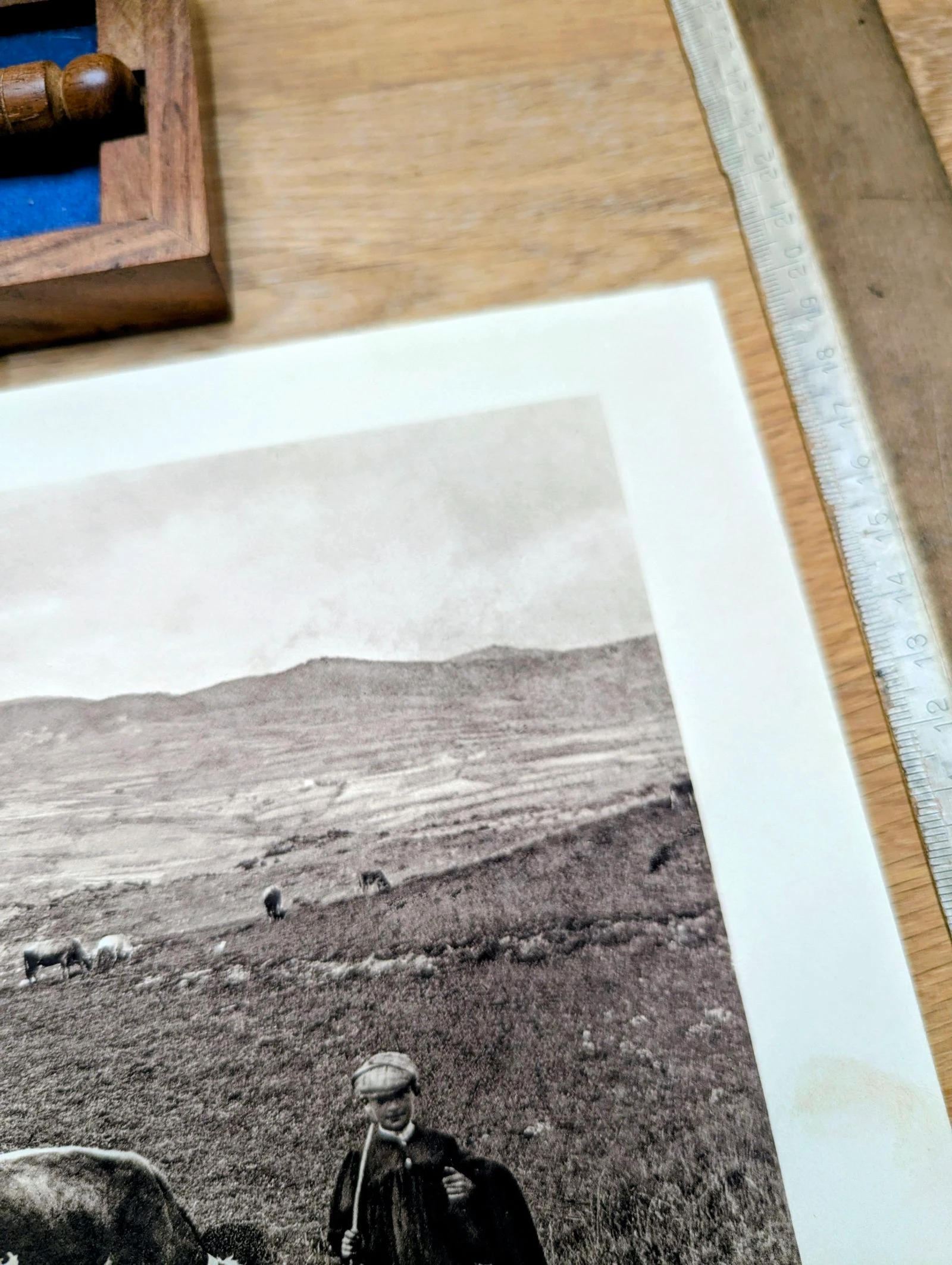 Colina de la Perche, Pirineus-Orientais, placa fotográfica impressa em 1937. – photo 10
